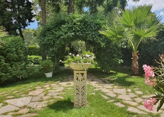 Riva 3* סאני ביץ'