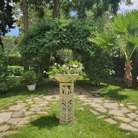 Riva 3* Сонячний Берег