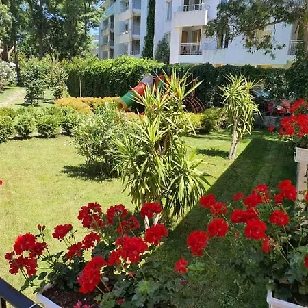 Riva Отель Солнечный берег