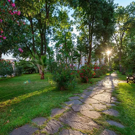 Riva Отель Солнечный берег